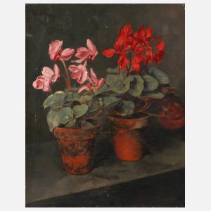 Franz Aumer, Alpenveilchen