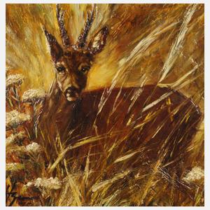 Herbert Bormann (attr.), Rehbock im Gras