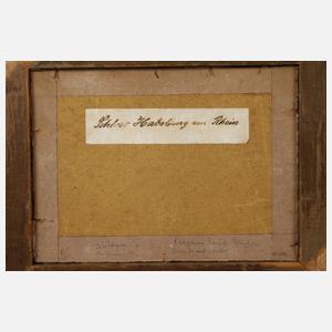 Georg Fuhrmann-Randeck, Schloss Habsburg am Rhein