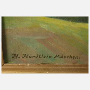 Hans Härdtlein, Chiemseeansicht