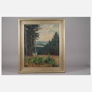 Georg Judersleben, Im Thüringer Land