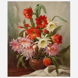 Erich Krüger, Weihnachtskaktus