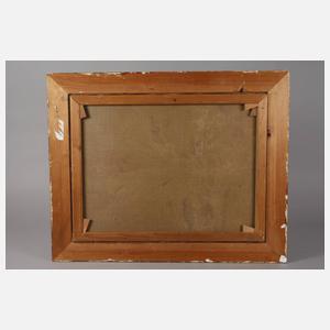 O.W.W. Müller, "Clivia miniata"