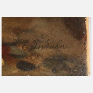 Edwin Perkuhn, Tod im Gebirge