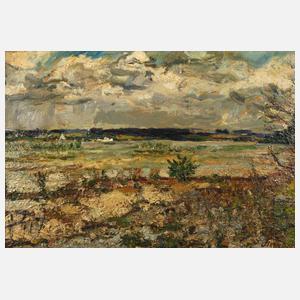 Albert Steinbeck, Weite Landschaft