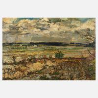 Albert Steinbeck, Weite Landschaft111