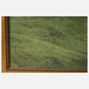 Prof. Julius Widnmann, Bewaldete Gebirgslandschaft