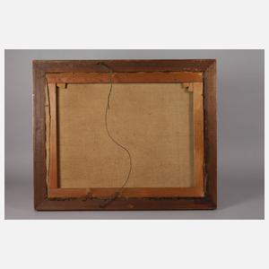 Prof. Julius Widnmann, Bewaldete Gebirgslandschaft