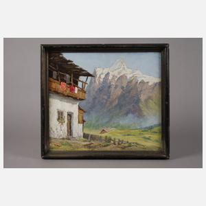 Sommerliche Alm im Gebirge