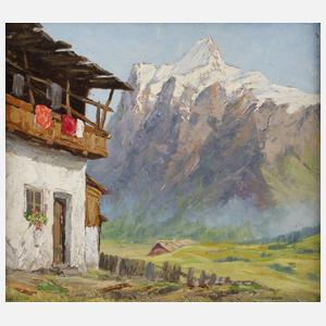 Sommerliche Alm im Gebirge