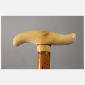 Spazierstock Elfenbein