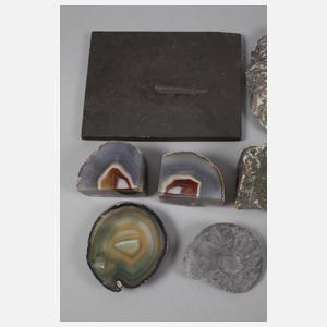 Kleine Mineralien- und Petrefaktensammlung
