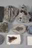 Kleine Mineralien- und Petrefaktensammlung
