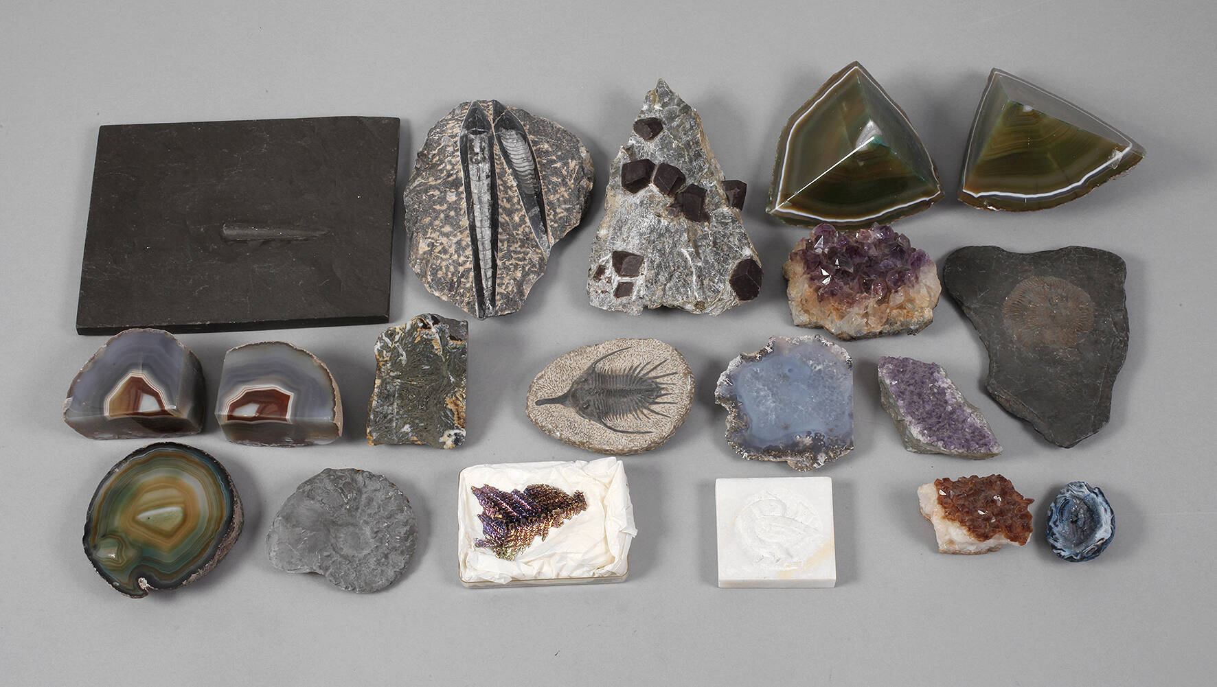 Kleine Mineralien- und Petrefaktensammlung
