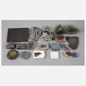 Kleine Mineralien- und Petrefaktensammlung