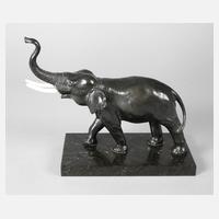 Schreitender Elefant111