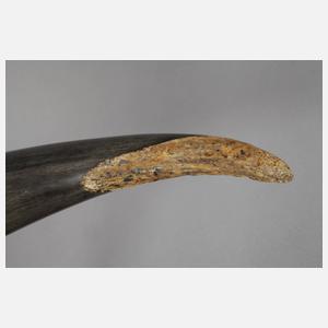 Trinkhorn Historismus