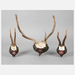 Drei Jagdtrophäen