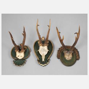 Drei Jagdtrophäen