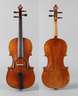 Violine