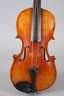 Violine