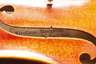 Violine Dynastie C. G. Schuster im Etui