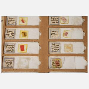Sammlung Forschungspräparate