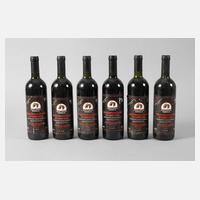 Sechs Flaschen Rotwein111