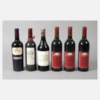 Sechs Flaschen Rotwein111