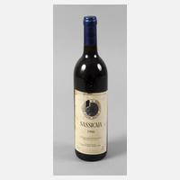 Flasche Rotwein111