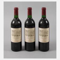Drei Flaschen Rotwein111