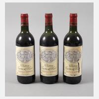 Drei Flaschen Rotwein111