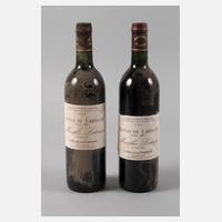Zwei Flaschen Rotwein111