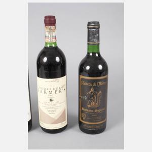 Sechs Flaschen Rotwein