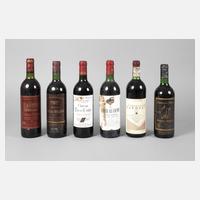 Sechs Flaschen Rotwein111