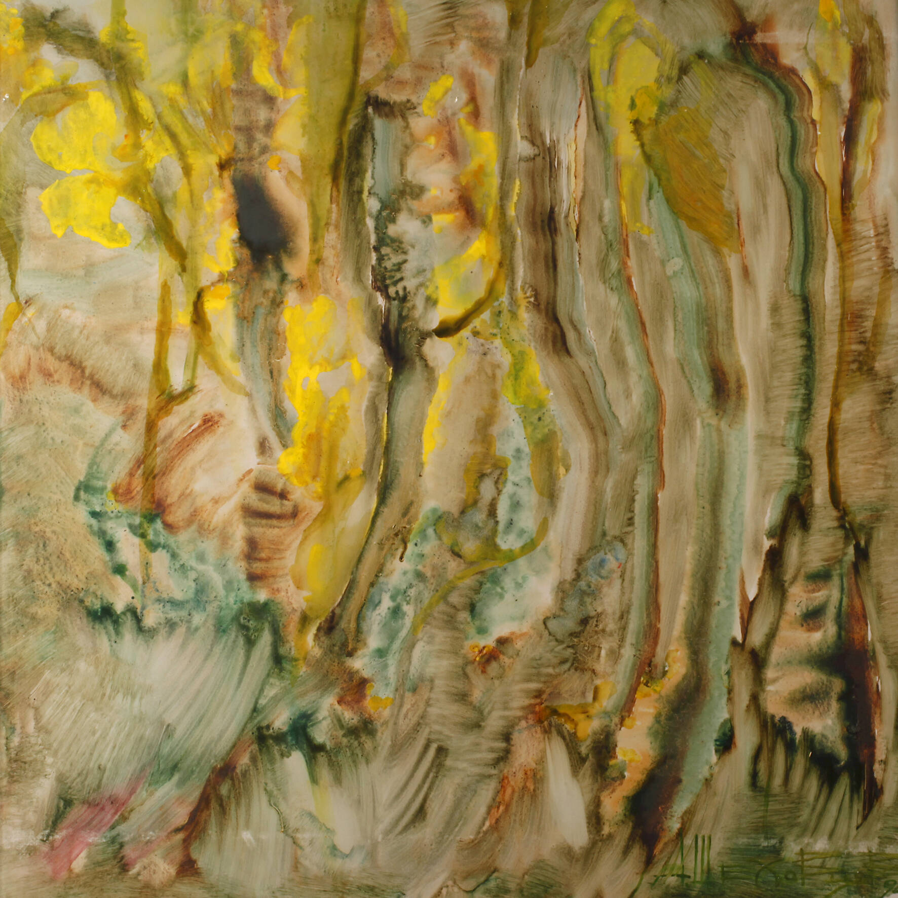 Alexander Alexandrovich Shekhovtsov, Iris