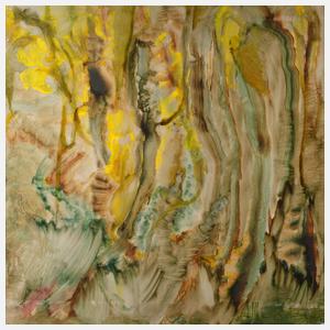 Alexander Alexandrovich Shekhovtsov, Iris