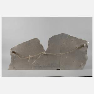 Igor Andreev, Im Gespräch