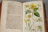 Botanisches Handbuch