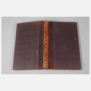 Romanzen aus dem Jugendleben