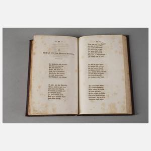 Romanzen aus dem Jugendleben