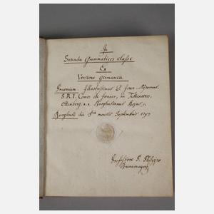 "Denkmal Carl Theodors" aus dem Besitz der Grafen Joner-Tettenweis