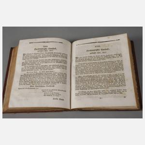 "Denkmal Carl Theodors" aus dem Besitz der Grafen Joner-Tettenweis