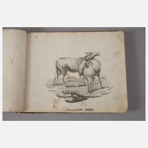 Neue Bildergalerie für die Jugend