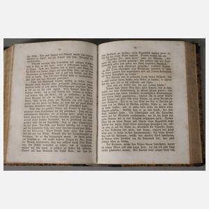 Sämmtliche Romane von Alexander Dumas