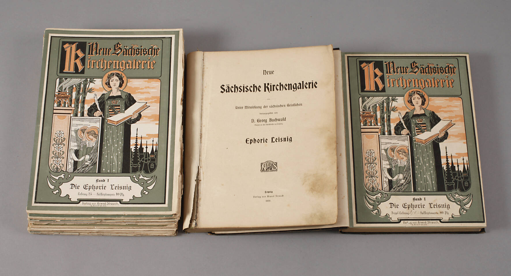 Neue Sächsische Kirchengalerie Band I