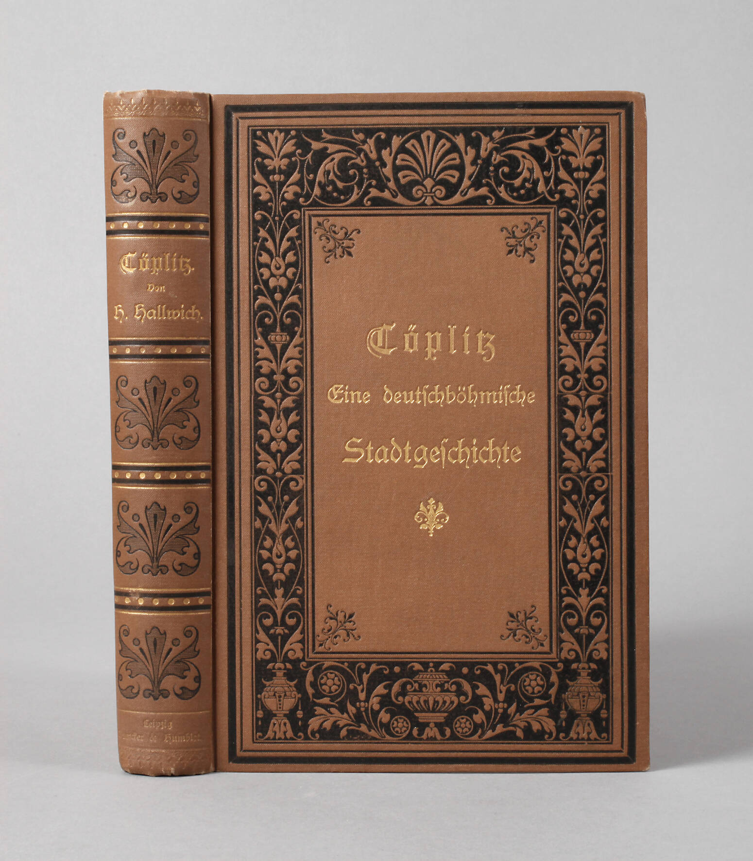 Töplitz – Eine deutschböhmische Stadtgeschichte