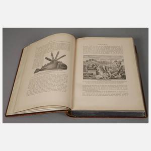 Der Mensch und die Erde