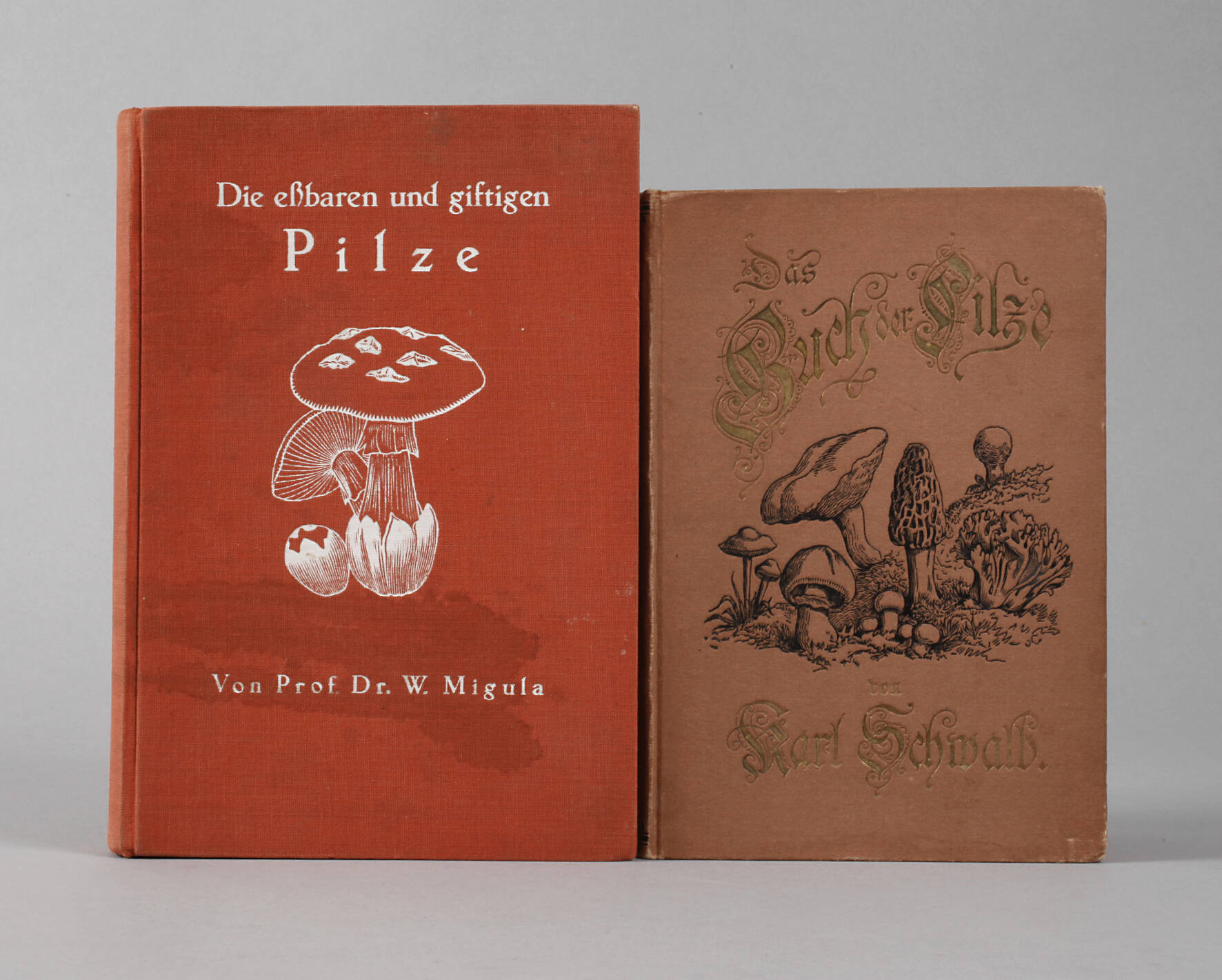 Zwei Pilzbücher