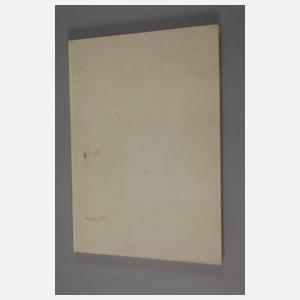 Helmut Rieger, Der Sturz